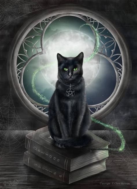Hocus pocus feline hex black magic